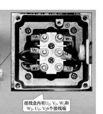 科玛森细石混凝土泵技术分享之三相异步交流电机接线