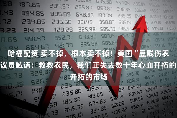 哈福配资 卖不掉，根本卖不掉！美国“豆贱伤农”，议员喊话：救救农民，我们正失去数十年心血开拓的市场