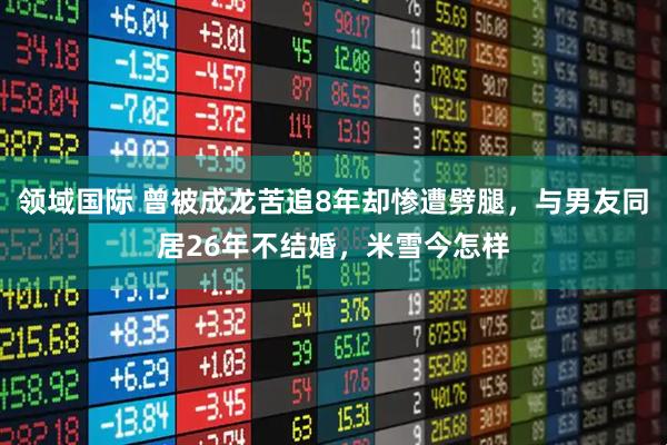 领域国际 曾被成龙苦追8年却惨遭劈腿，与男友同居26年不结婚，米雪今怎样